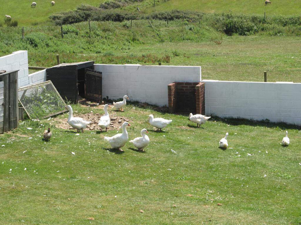 Upton Cross B&B Bude Bagian luar foto