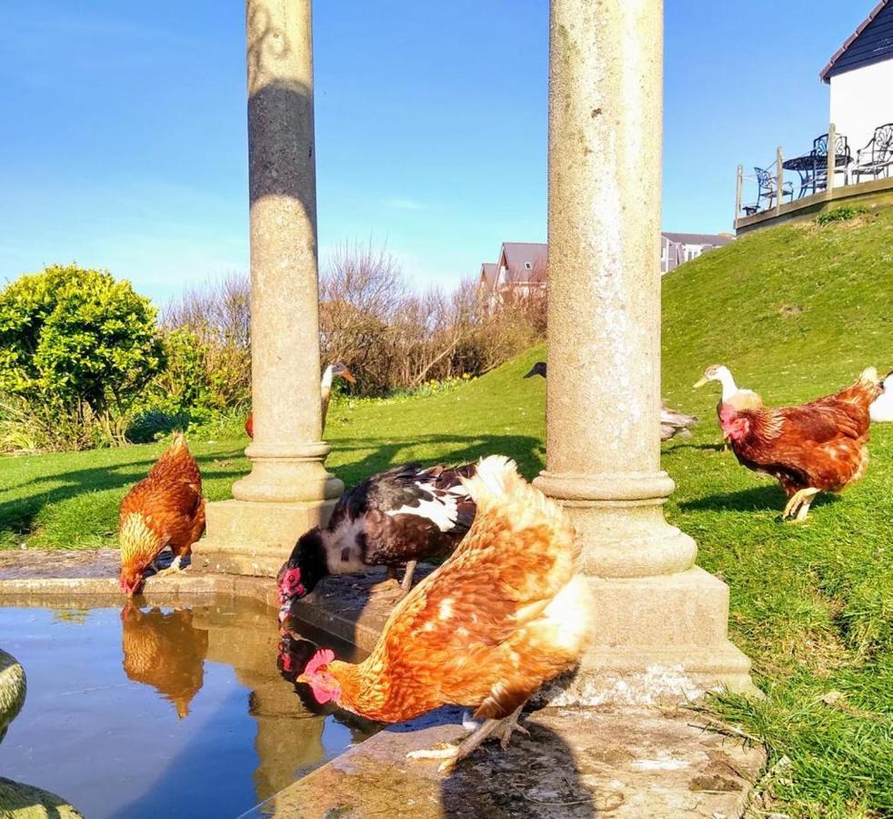 Upton Cross B&B Bude Bagian luar foto